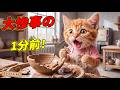 【まさかの大失敗】初めてのお茶碗作りで大号泣したここにゃん…陶芸職人との出会いが奇跡を起こした！？😭🏺✨