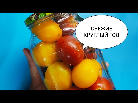 Как сохранить помидоры на зиму в домашних условиях на зиму