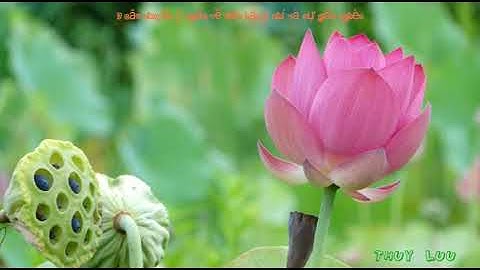 9 câu chuyện ý nghĩa về tiền bạc,ý chí và sự giàu nghèo- hiểu được nhất định sẽ thành công_Thuy Luu