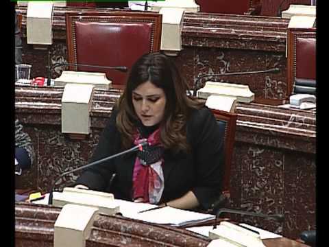 Marín Torres, Mª Teresa (G.P.Popular) - Turno general de intervenciones. camera iphone 8 plus apk