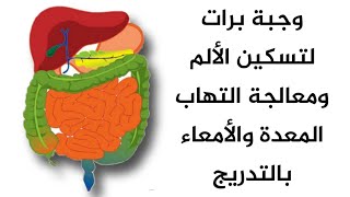 16- علاج التهاب المعدة والأمعاء  (التفاح قوي ومجرب) | بيترو | صحة