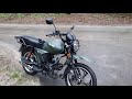 Приобрел пырчик(Альфа) Musstang MT125-8 Dingo XL.