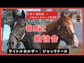 【HBC競馬部TV】タイトルホルダー、ジャックドール、ウシュバテソーロ…馬産地の子どもたちが名馬を学ぶ！