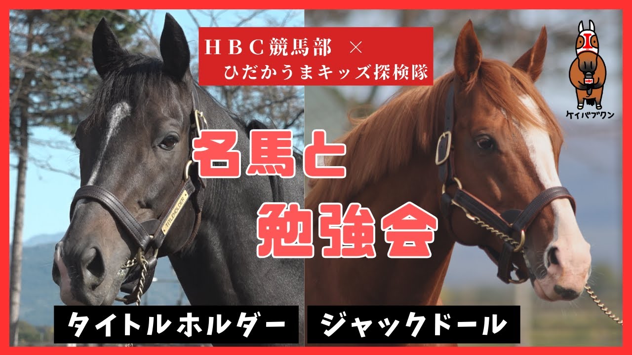 【HBC競馬部TV】タイトルホルダー、ジャックドール、ウシュバテソーロ…馬産地の子どもたちが名馬を学ぶ！