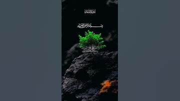 ياسر الدوسري - تلاوة من سورة لقمان 🤍✨ #قران_كريم #راحة_نفسية #المصحف ♥️