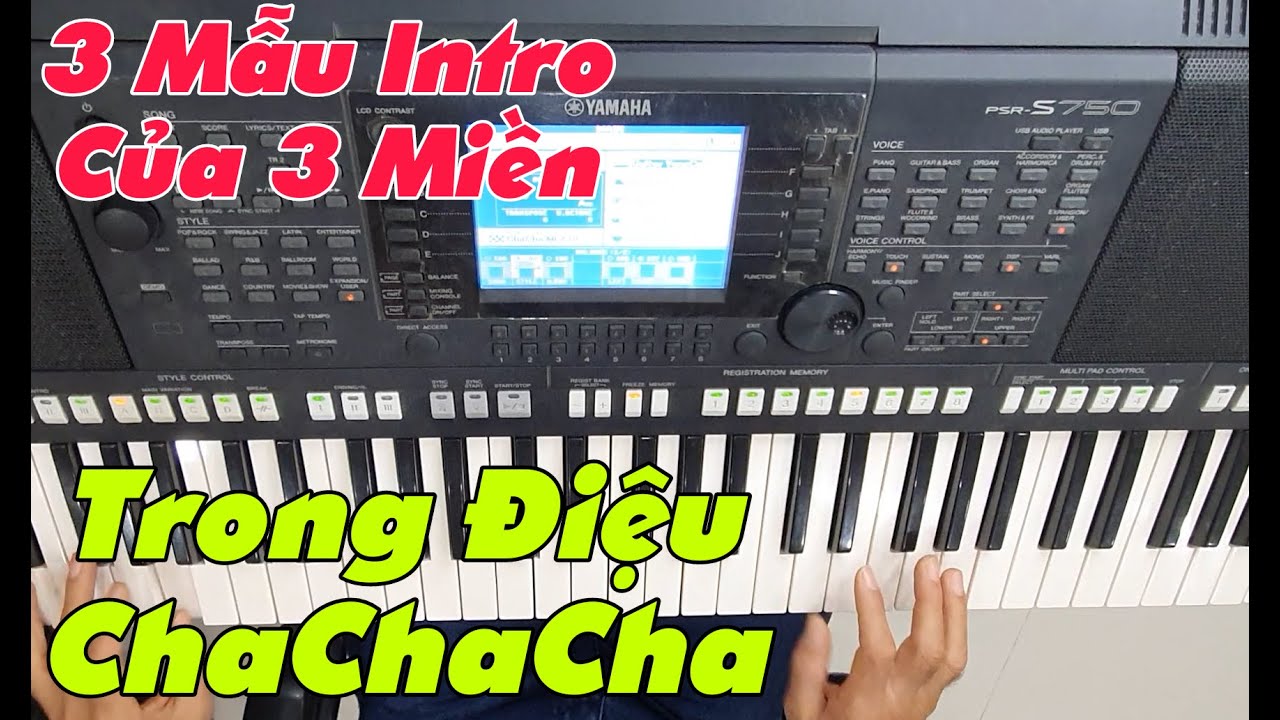 Cách Soạn Intro Khi Đệm ChaChaCha || Mẹo Đệm Hát || #6