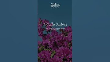 تلاوة بصوت السماء – الشيخ عبدالباسط #قران_كريم