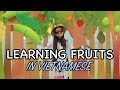 How to say fruits in vietnamese