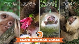 Official 2019 Sloth Ironman Games Trailer