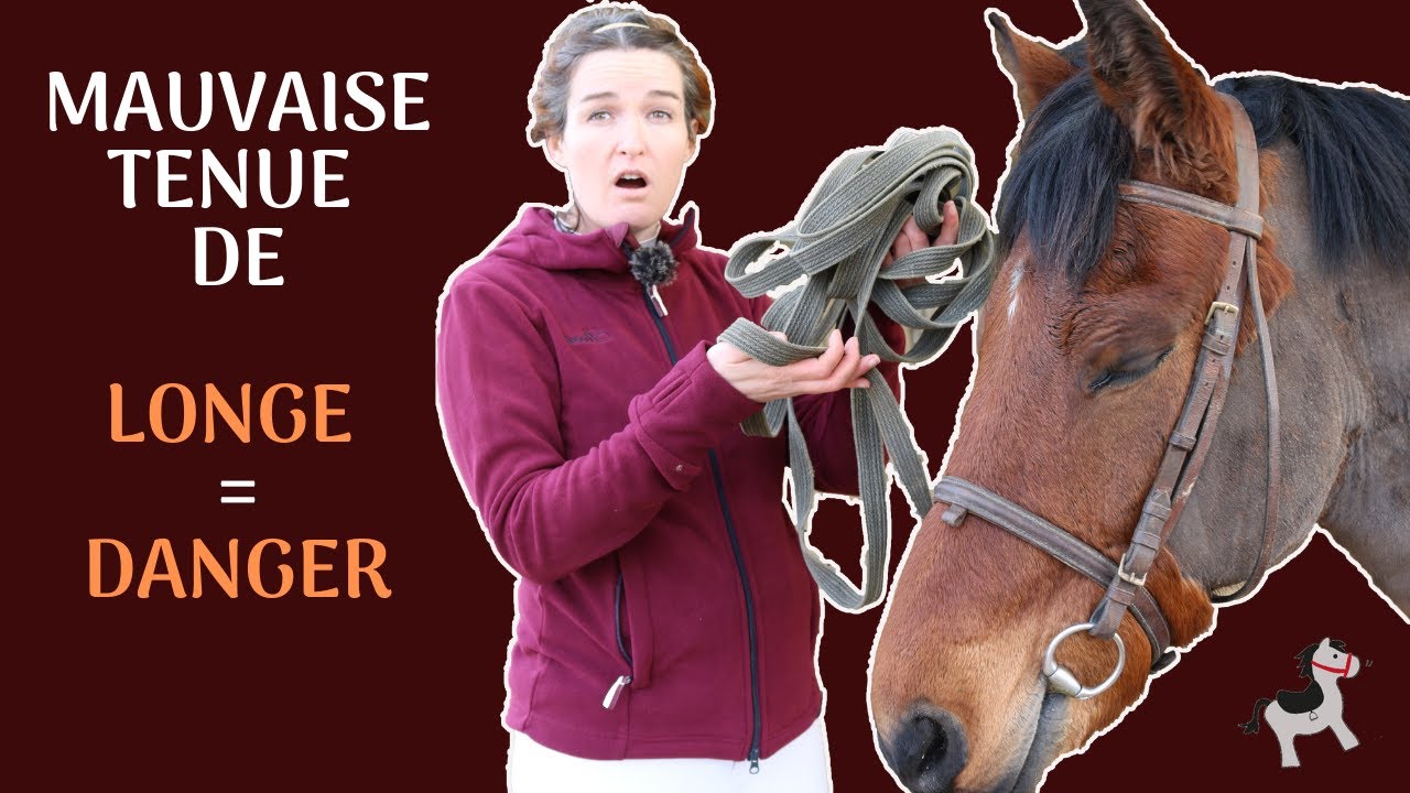Longer son cheval Comment bien tenir la longe ? 3 techniques YouTube Longer son cheval Comment bien tenir la longe ? 3 techniques YouTube