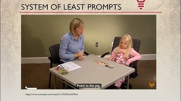Introduction Video to System of Least Prompts Part Three
