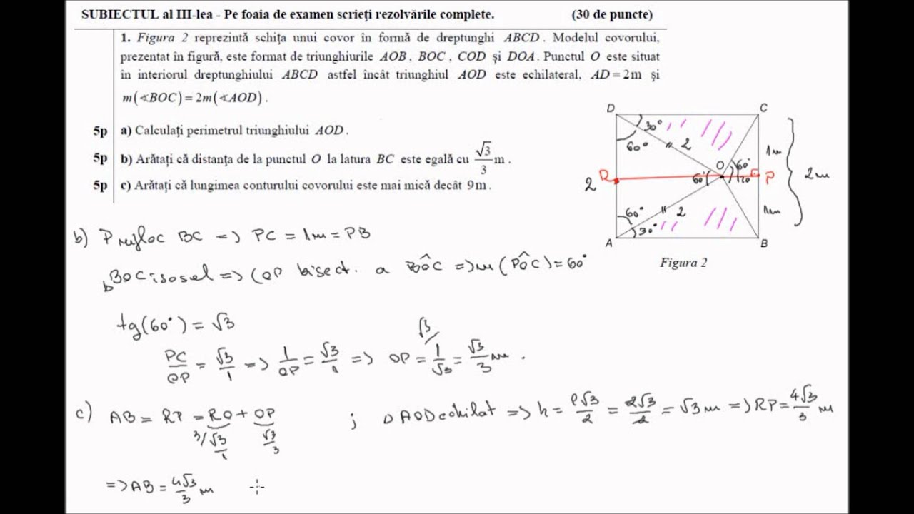 Clasa A Viii A Exercitii Recapitulative Evaluare Nationala