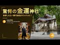 【驚愕の金運神社】参拝したら一瞬で財布がパンパンに!