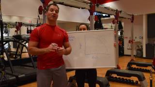 Flexline Failure Zone Tutorial