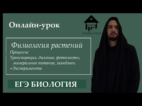 Видео: Каковы физиологические процессы у растений?