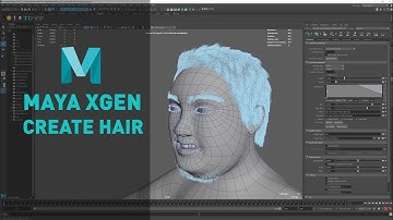 Create Hair in Maya tutorial | XGen for beginners | Hair style
