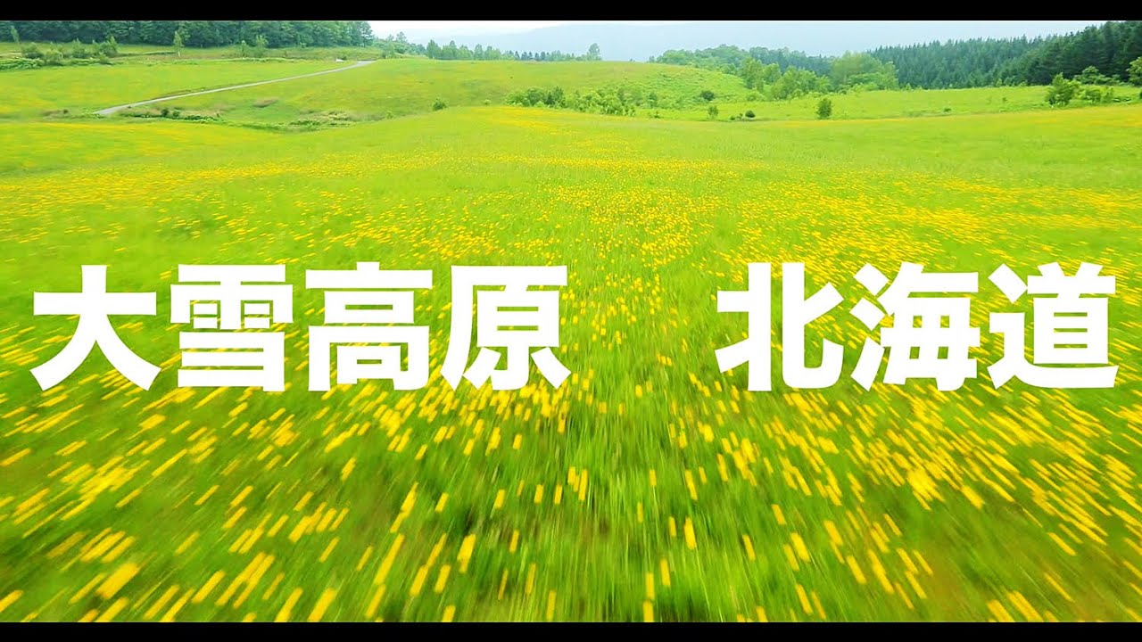 【空の旅#76】「草原の花。なんと気持ちのいい丘なんだ」空撮・多胡光純 北海道_Hokkaido aerial