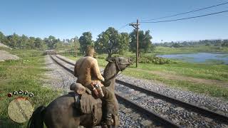 I Tried to Run Away from a Mad Man with a Gun Red Dead Redemption 2 RTX 3050Ti