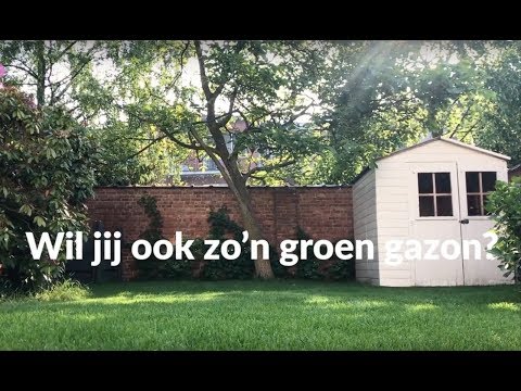 Video: Groene Stappen