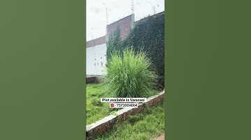 Low Budget plot available in Paharia Varanasi |सस्ता प्लॉट बनारस में उपलब्ध। #shorts #shortsvideo
