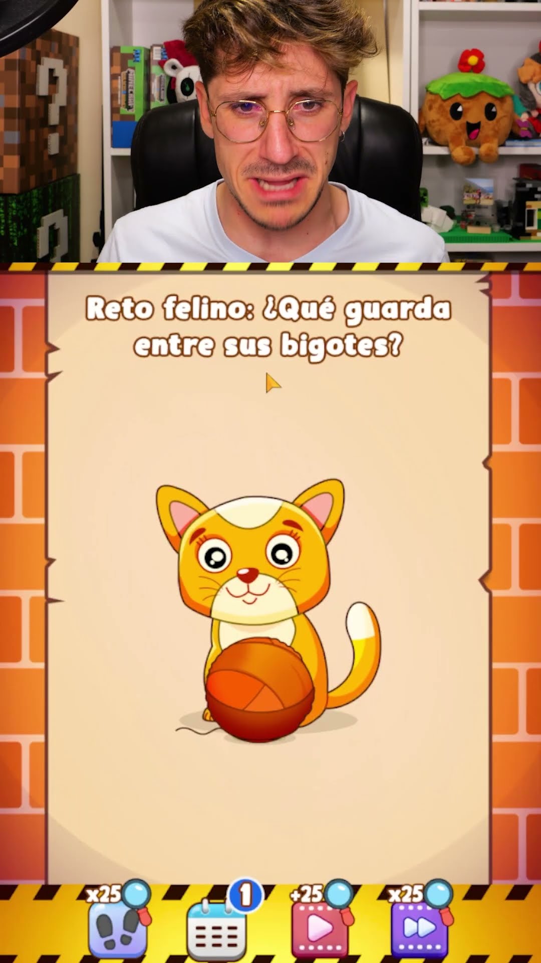 ¿qué esconde el gato?
