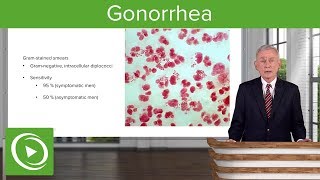 Gonorrhea – Infectious Diseases | Lecturio