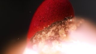 Match chain reaction burning in AMAZING MACRO SLOW MOTION by SLOWMOER - Slow Motion Videos 4,622 views 5 years ago 2 minutes, 24 seconds