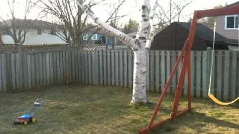 Our House - Backyard