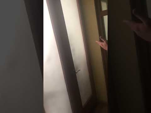 Video 1