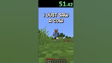 Minecraft: Random Item Speedrun DAY 17 #shorts