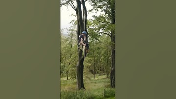 Brew time!!! Quick descent. #arborist #treeclimber #arbortec