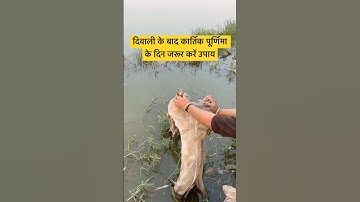 दिवाली के बाद कार्तिक पूर्णिमा के दिन जरूर करें उपाय #pradeepmishra #trending #shiv #shorts #diwali