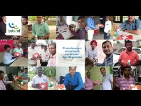 mastitis prevention Clean Mik Day Initiative
