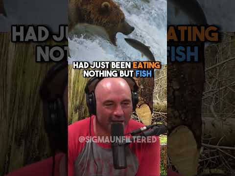 Eating Bear Meat That Tastes Like Fish | JRE