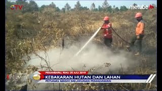 Hutan dan Lahan di Riau Terbakar, Tim Satgas Karhutla Masih Berjibaku Padamkan Api - BIP 21/07
