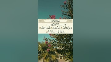 سورة الاخلاص🩷🤍 #القرآن_الكريم #سورة_الاخلاص#المصحف