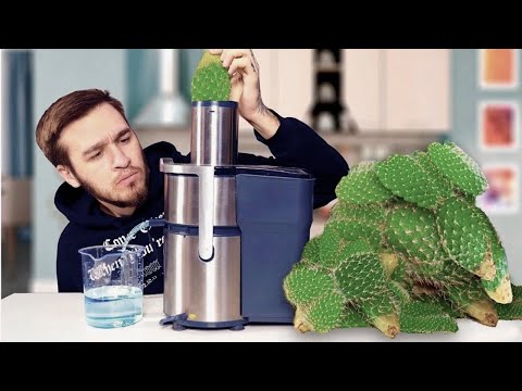 ДОБЫВАЕМ 1 ЛИТР ПИТЬЕВОЙ ВОДЫ ИЗ КАКТУСОВ