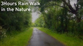 HEAVY RAIN WALK in FOREST 3H 4K | Bordeaux France 2021 / ASMR Rain Sounds for Sleeping study