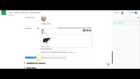 How to Upload a Profile Picture in Moodle 4.0
