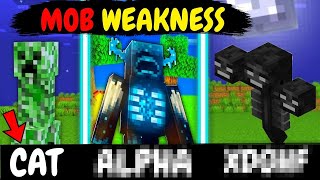All Minecraft Mobs Weakness In Hindi | Madxpro