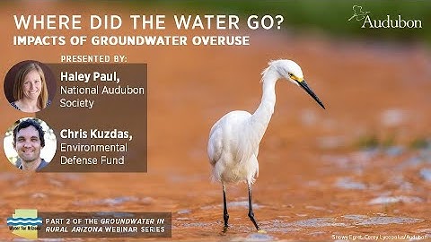 Where Did the Water Go? Impacts of Groundwater Overuse