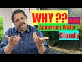Why is my aquarium water cloudy | Green | Cloudy Water in a fish tank? How to clean Aquarium water?