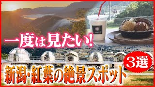 【一度は見たい！】新潟・紅葉の絶景スポット3選（展望テラス・滝雲・ジップツアー）