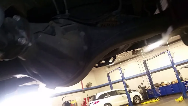 Terry the Honda Guy!