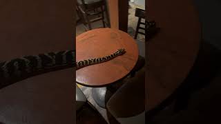Literal bar crawler