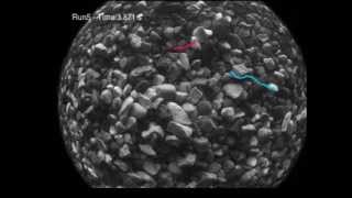 2D bedload particle tracking