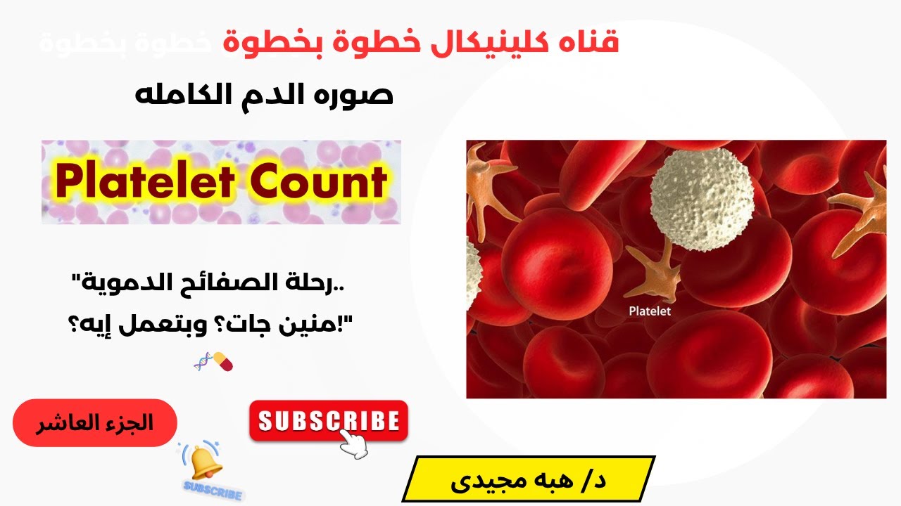 الجزء العاشر  Platelets 🩸الصفائح الدمويه / المنشأ / الوظيفة / والأدوية اللي بتأثر عليها / CBC