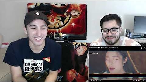 INTRODUCING MAMAMOO! (Part 2: Wheein & Hwasa) Reaction