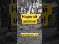 Підступно розкластись, це точно #лагіднемтб ?! #лопатка #saveorfail