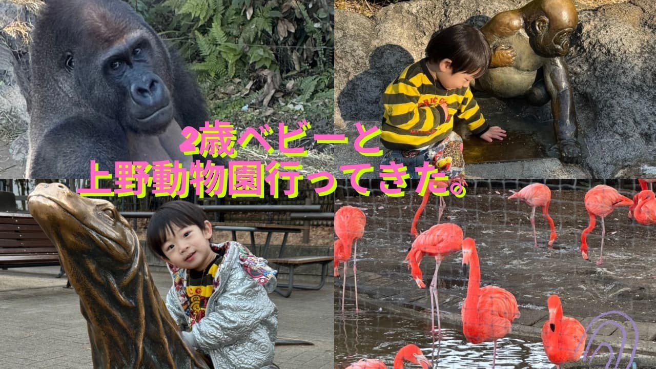 【2歳おでかけ記録】上野動物園、パンダなしでも楽しめる？リアルな1日